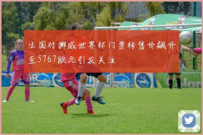 法国对挪威世界杯门票转售价飙升至5767欧元引发关注